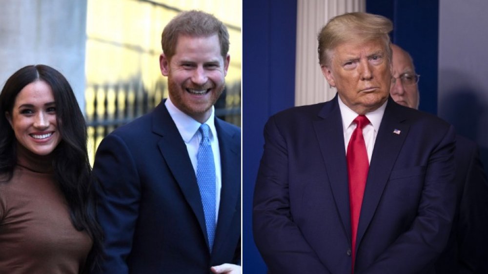 Meghan Markle, Prince Harry, and Donald Trump