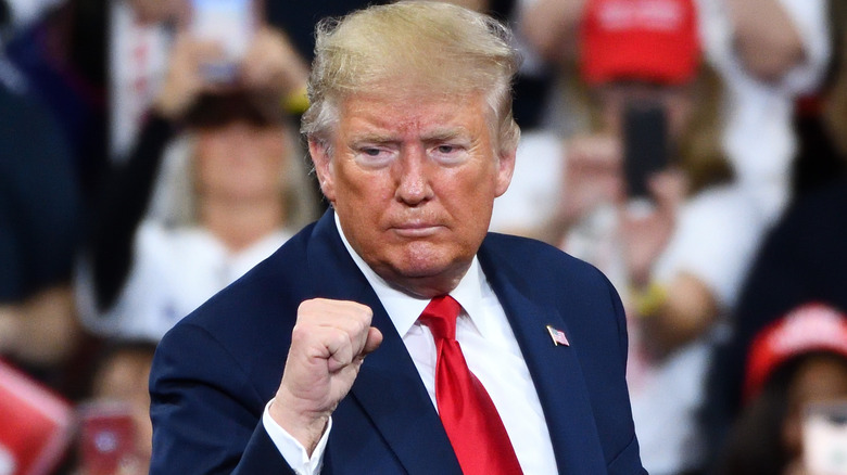 Donald Trump gestures a fist pump at campaign rally 2018