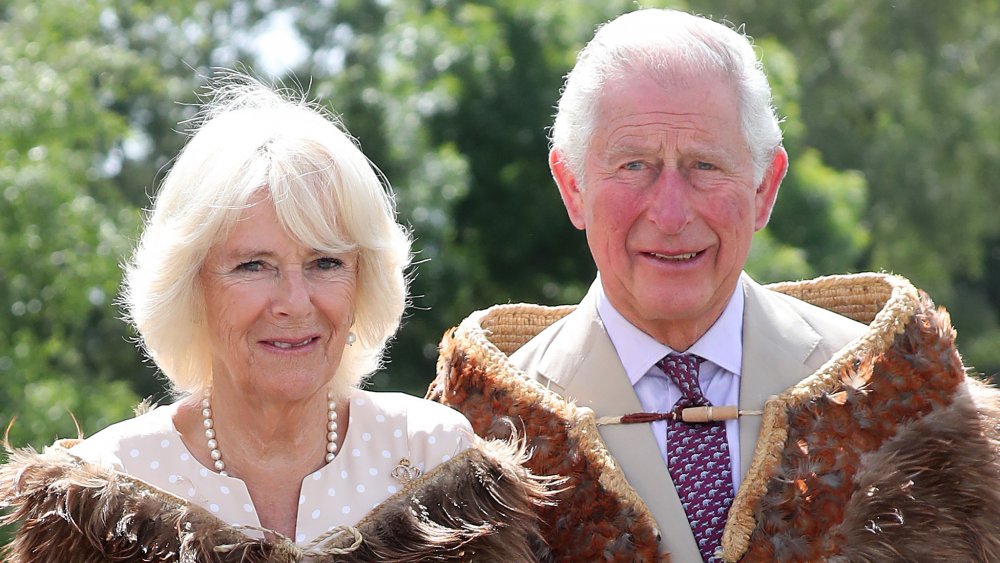 Camilla Parker Bowles, Prince Charles