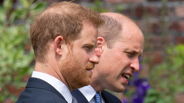 Prince Harry stands with Prince William in profile