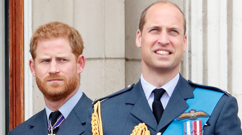 Princes Harry and William posing 