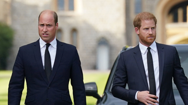 Prince William and Prince Harry during 2022 royal walkabout