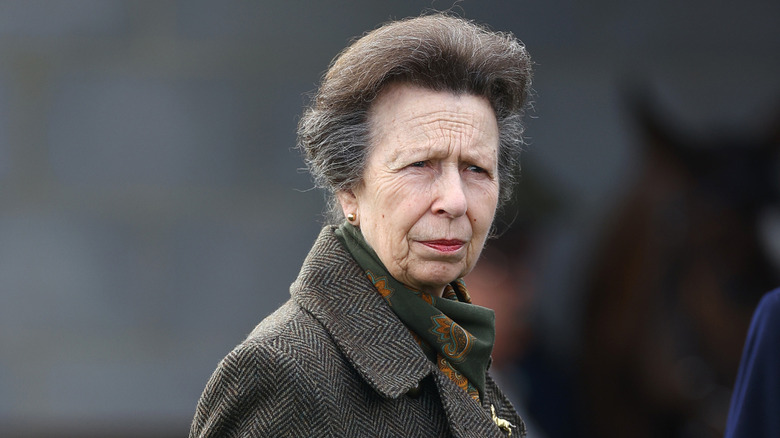 Princess Anne squinting in late 2023