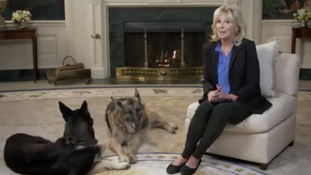 FLOTUS Jill Biden sitting with dogs Major and Champ