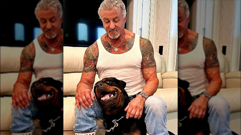 Sylvester Stallone and his new dog Dwight