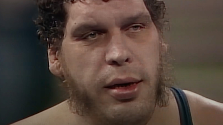 Andre the Giant