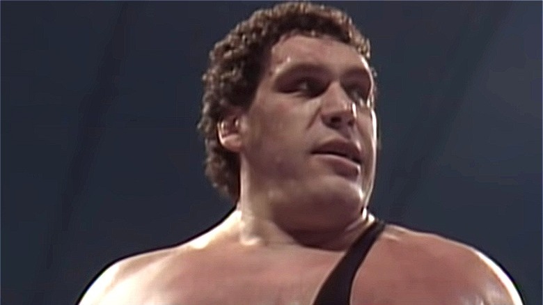 Andre the Giant