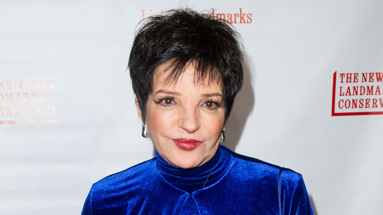 Liza Minnelli on red carpet