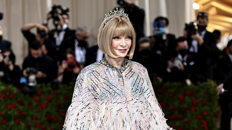The Scandalous Way Anna Wintour's First Marriage Ended