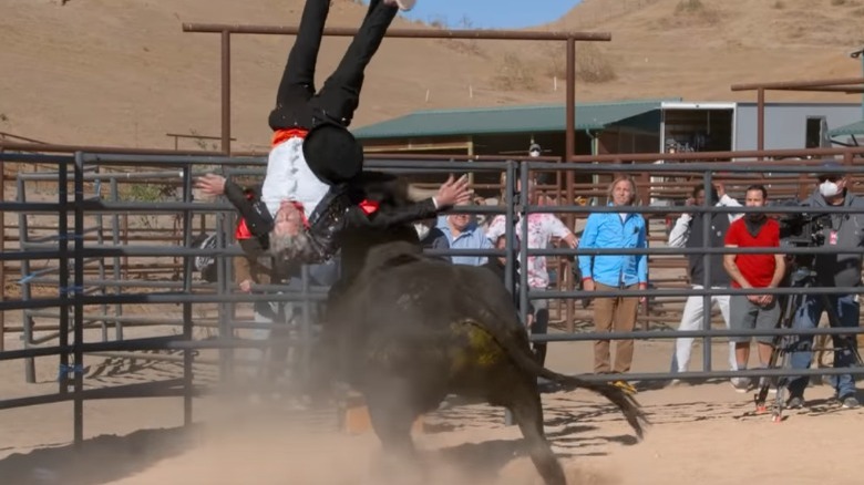 Johnny Knoxville getting leveled by a bull