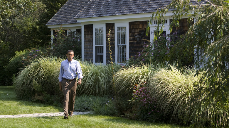 Barack Obama in Martha's Vineyard