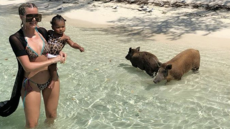 Khloe and True on a beach with pigs