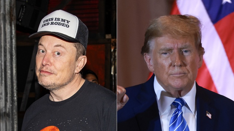 Elon Musk and Donald Trump split image