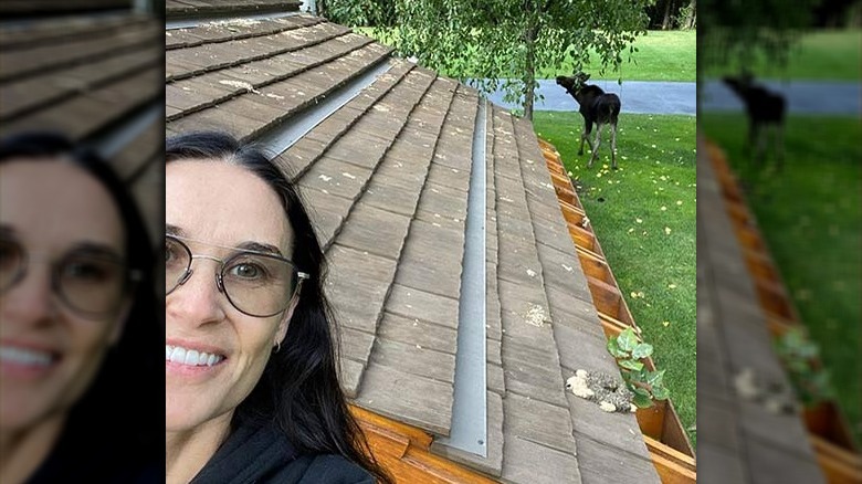 Demi Moore showing off a moose in her Idaho backyard