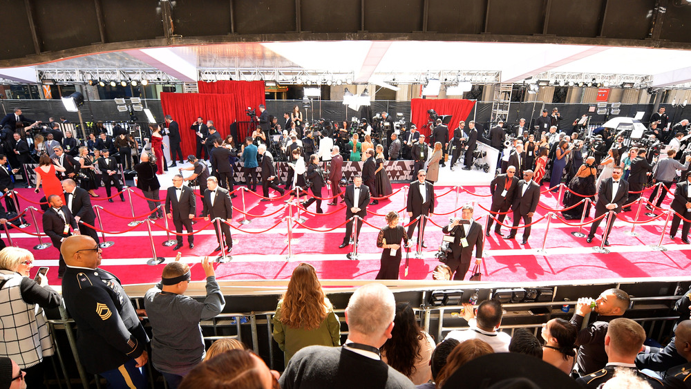 the oscars red carpet