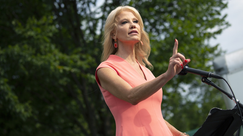 Kellyanne Conway talks to reporters on White House lawn