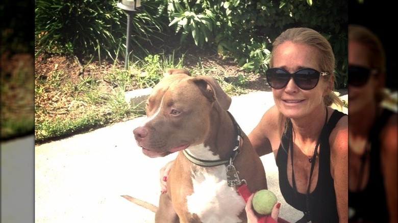 Kim Richards poses with her pitbull