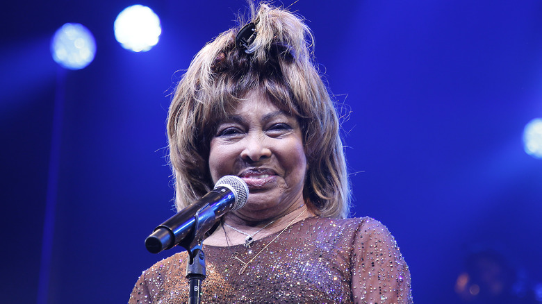 The Tragic Life Story Of Tina Turner Is Heartbreaking 3369