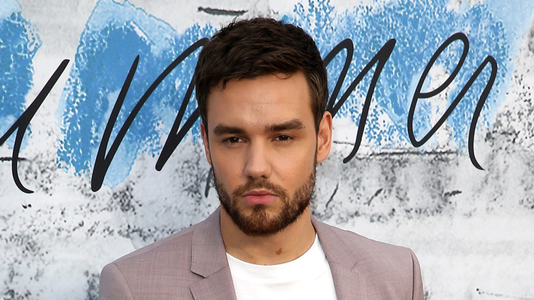 Liam Payne poses at The Summer Party 2019