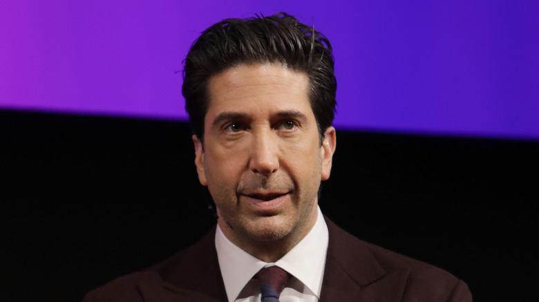 David Schwimmer speaking