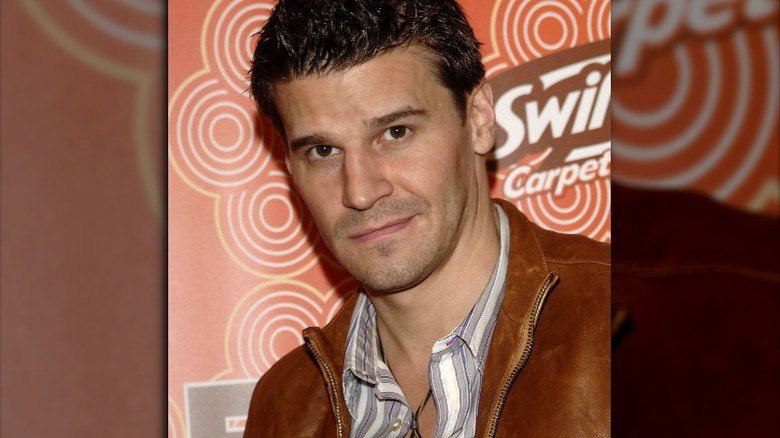 David Boreanaz wearing brown leather jacket