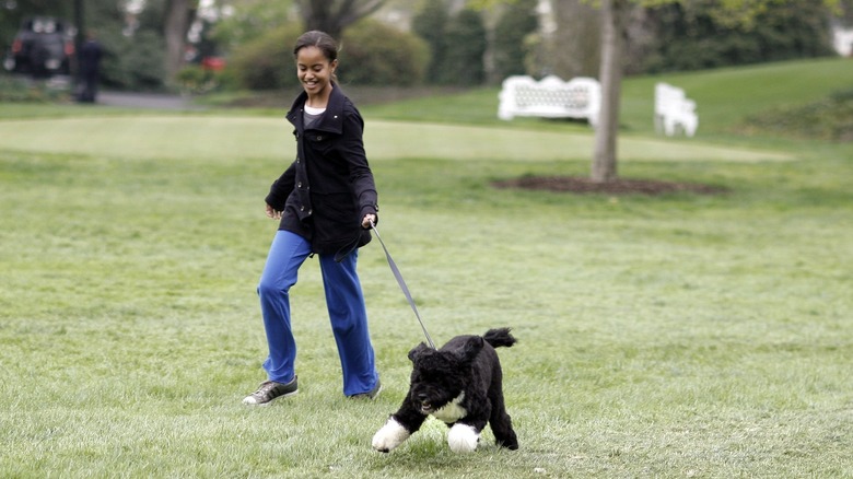 Malia Obama with their family dog, Bo, in 2009