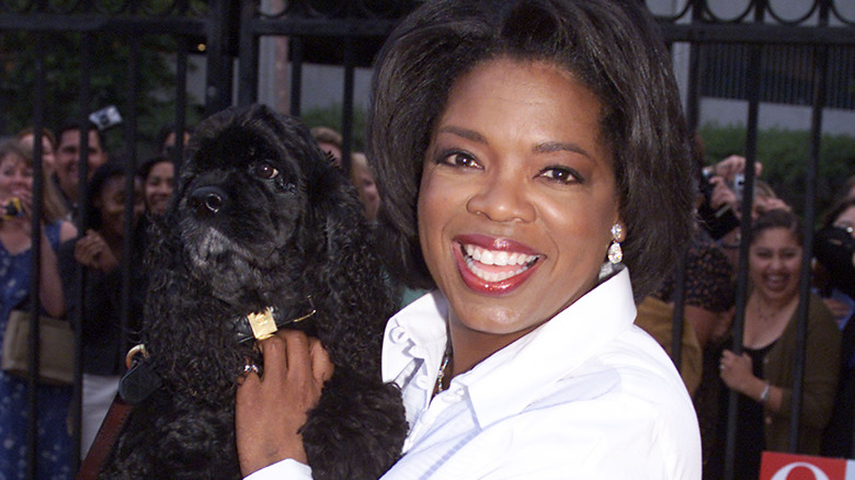 Oprah Winfrey holding a dog 2000