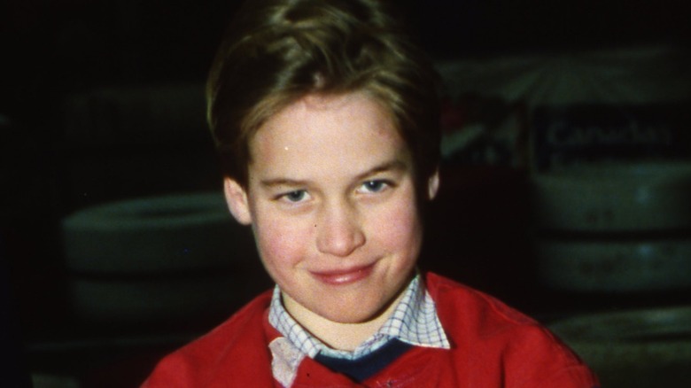 Young Prince William