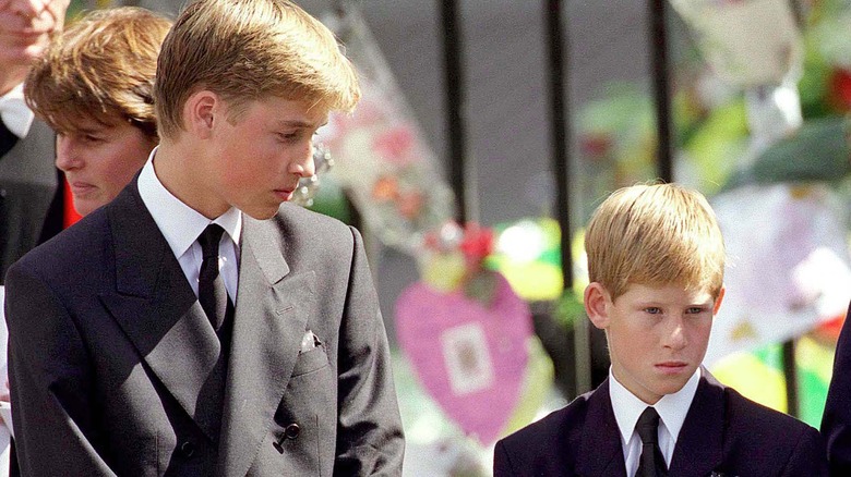 Prince William and Prince Harry at Princess Diana's funeral