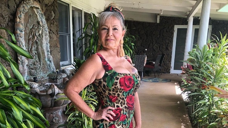 Roseanne Barr poses in a photo from Instagram