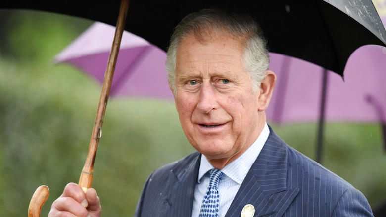 Prince Charles walking