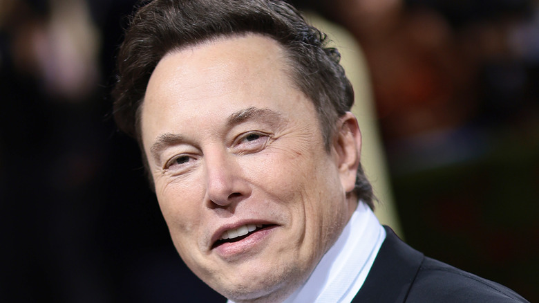 Elon Musk smirking