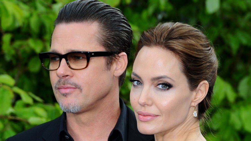 The Truth About Angelina Jolie And Brad Pitts Winery