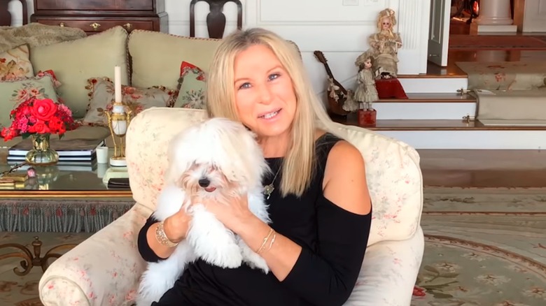 Barbra Streisand and her dog in her home