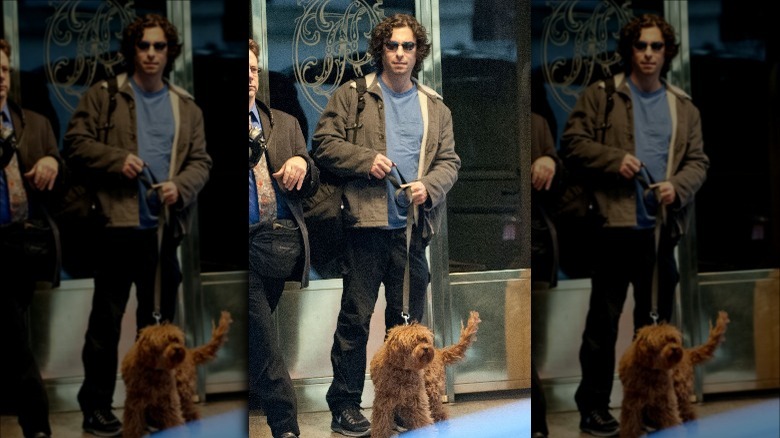 Jason Gould walking his dog