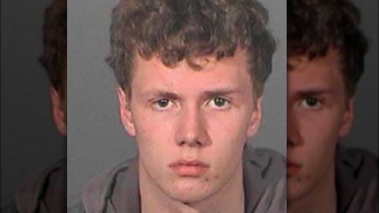 Barron Hilton mugshot