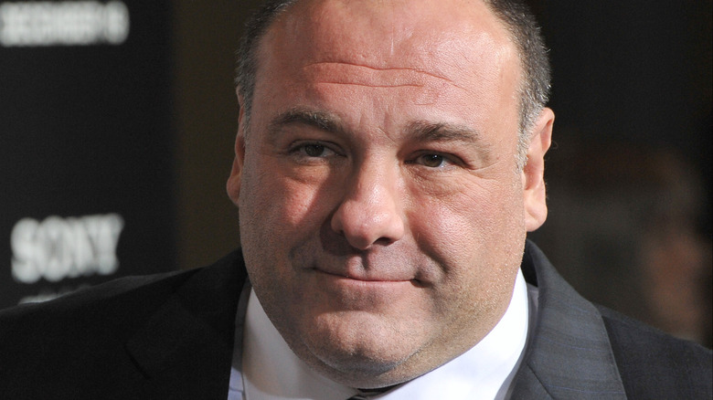 James Gandolfini at an event