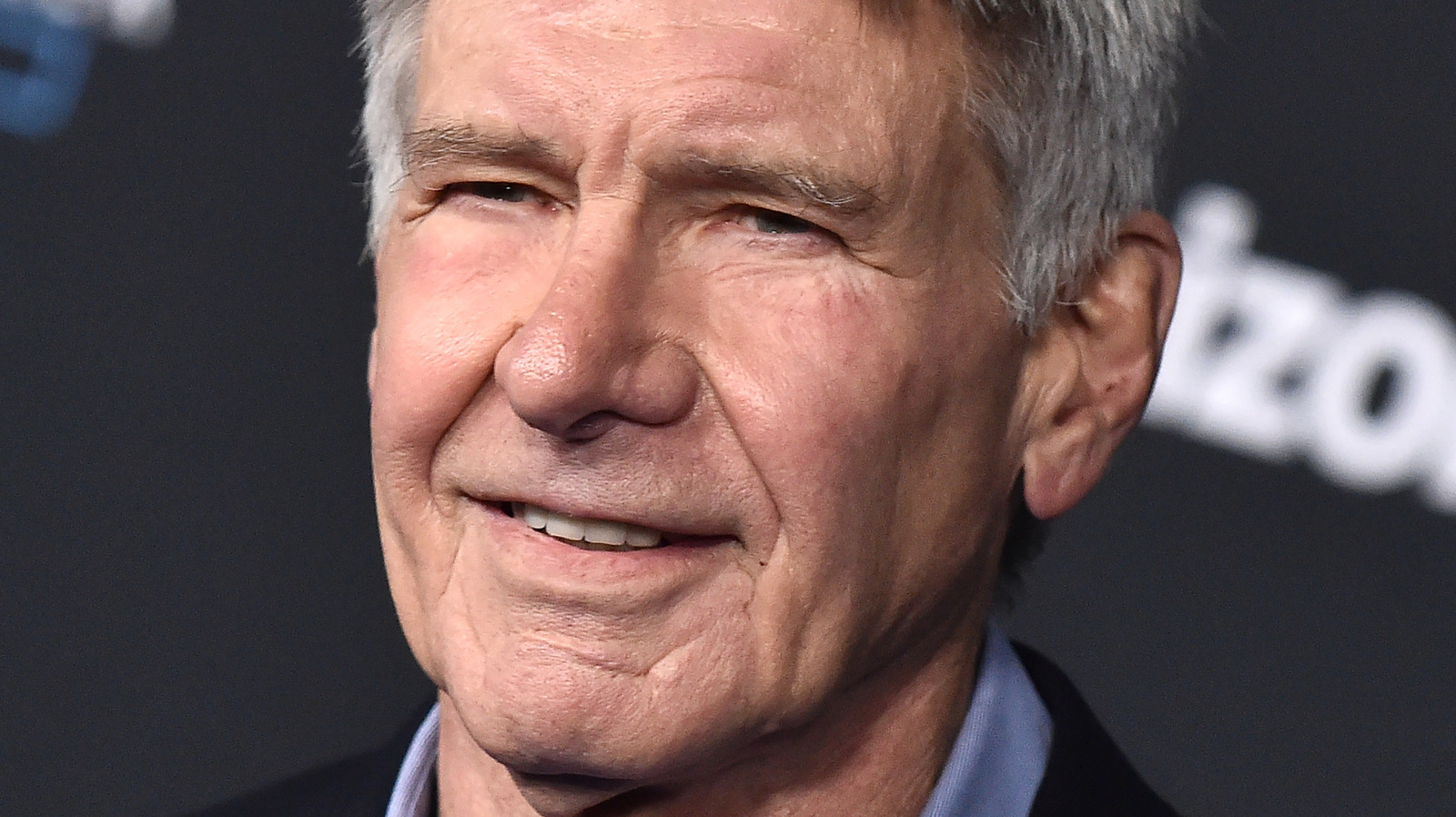 The Truth About Harrison Ford's Brother