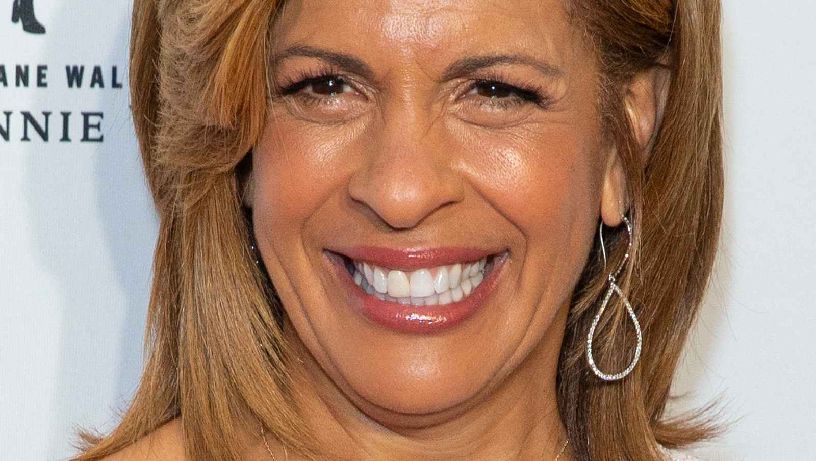 The Truth About Hoda Kotb's Ex-Husband - News Colony