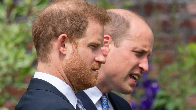 Prince Harry and Prince William