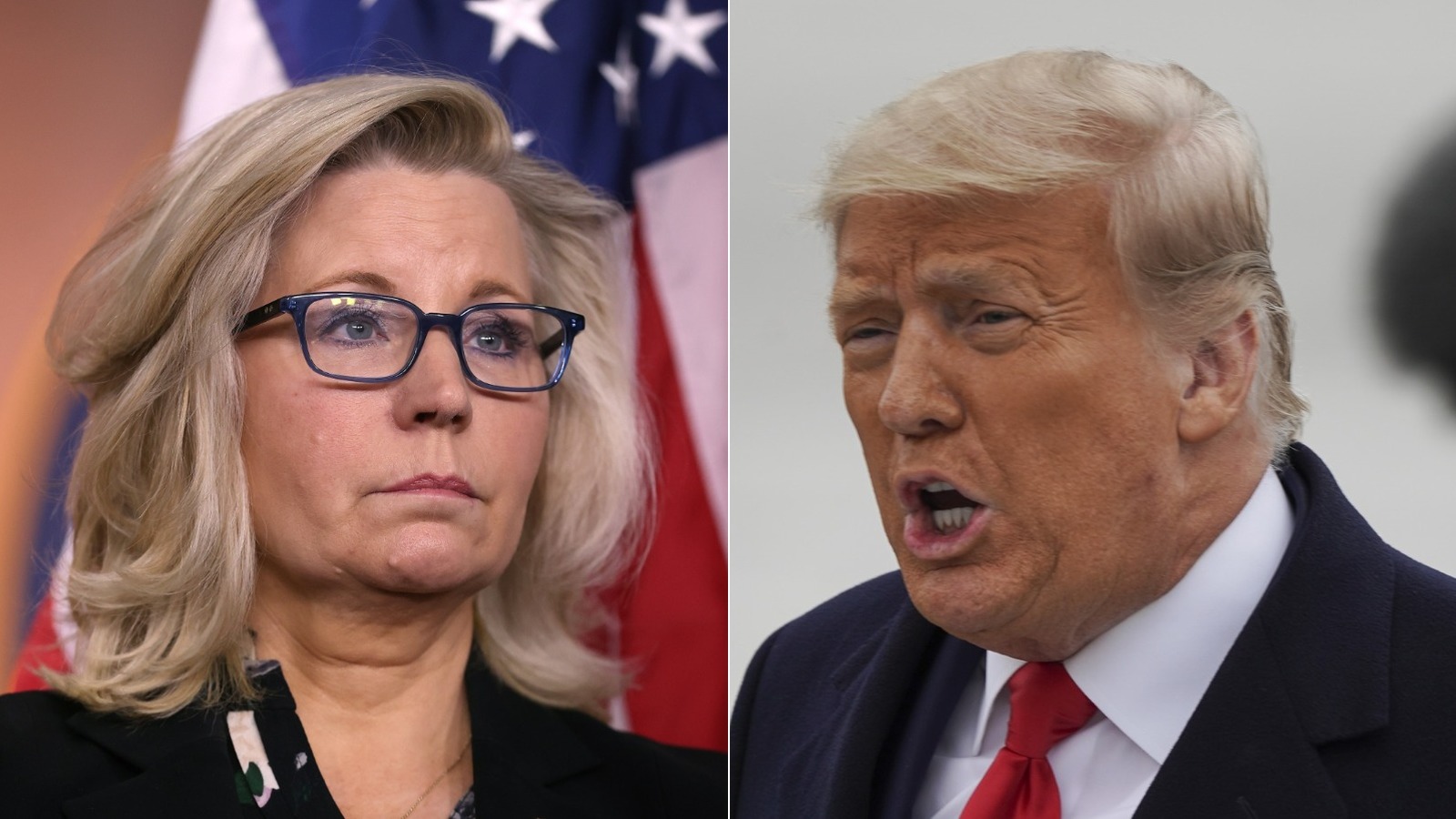 The Truth About Liz Cheney And Donald Trump's Relationship