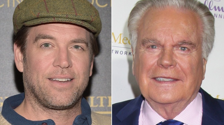 Michael Weatherly and Robert Wagner split image