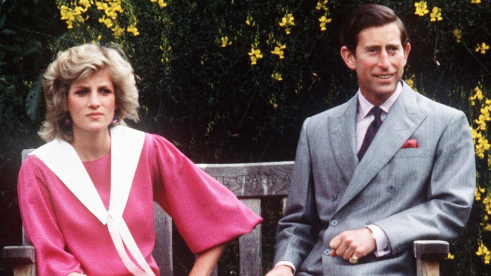 Princess Diana and Prince Charles sitting far apart on a bench