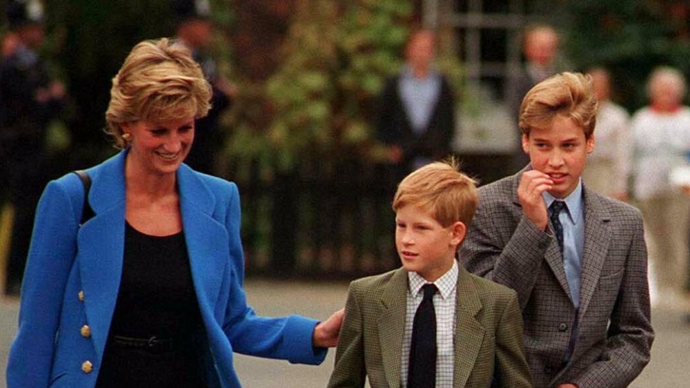 Princess Diana, Prince Harry, and Prince William