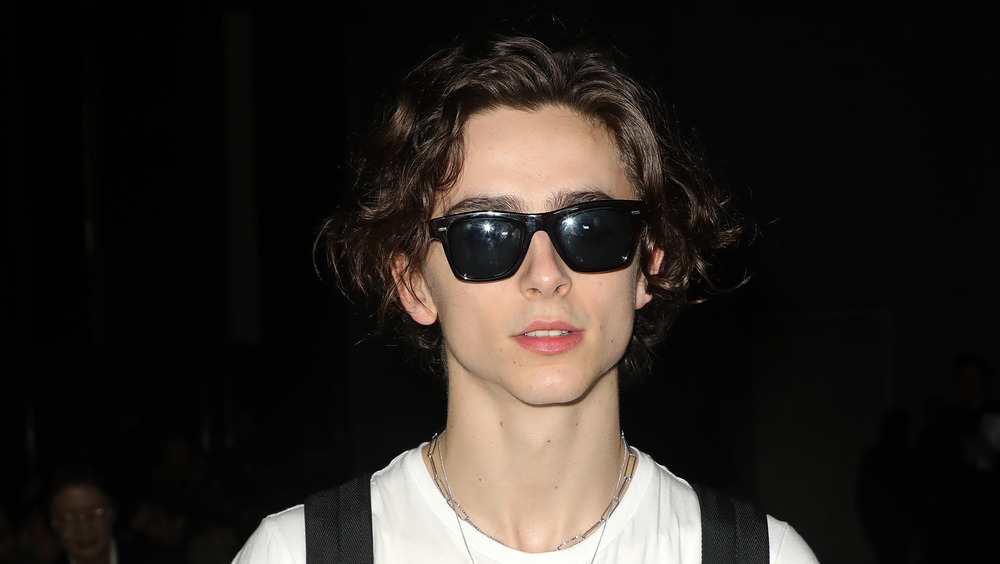 Timothee Chalamet posing for photos