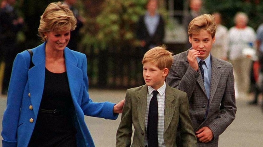 Princess Diana, Prince Harry, and Prince William walking together