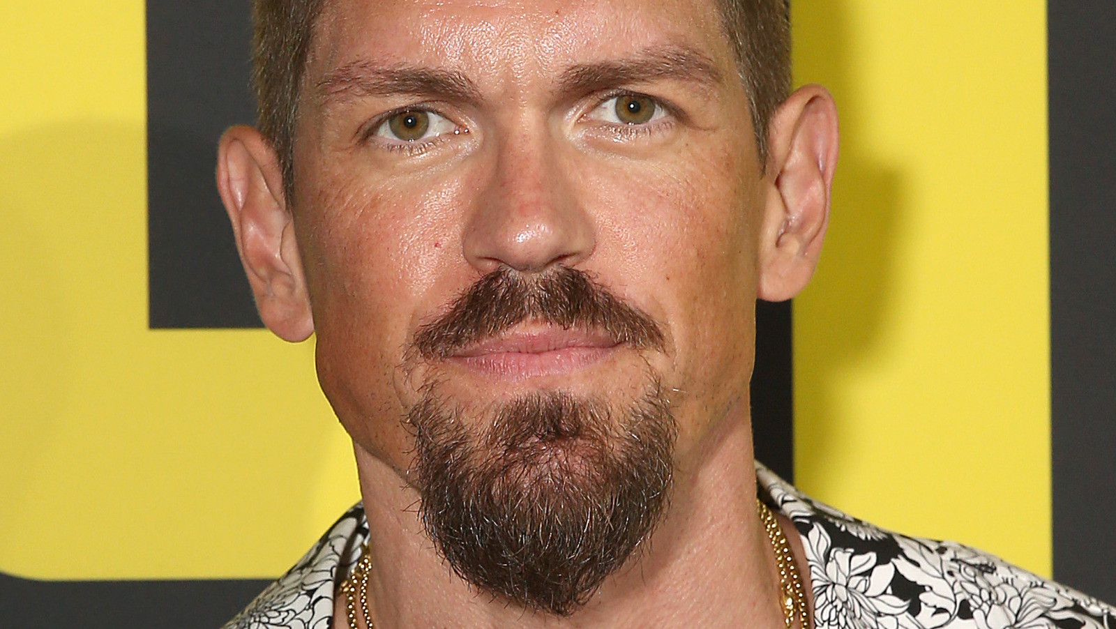 Steve howey