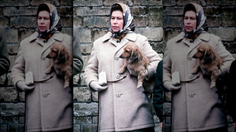 Queen Elizabeth holding dog