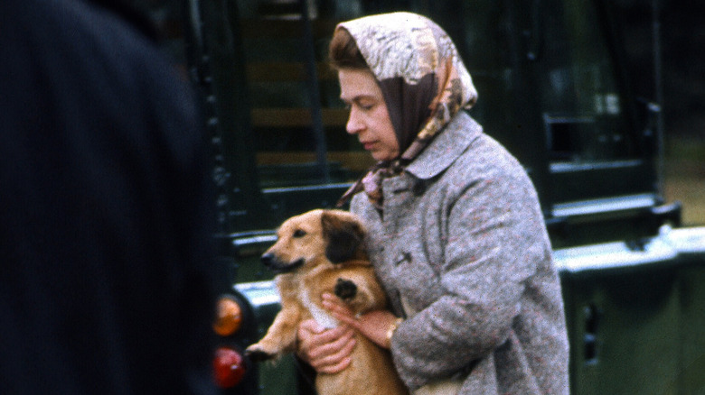 Queen Elizabeth holding a corgi