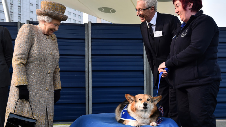 Queen Elizabeth smiling at a dog